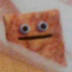 Meet your Posher, Jayden